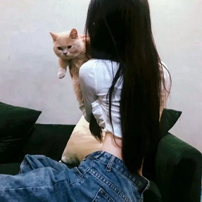 以父亲的名义